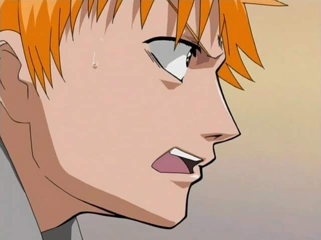 Otaku Gallery  / Anime e Manga / Bleach / Screen Shots / Episodi / 001 - Il giorno in cui divenni uno Shinigami / 113.jpg